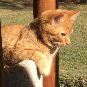 Meet your Posher, Julie